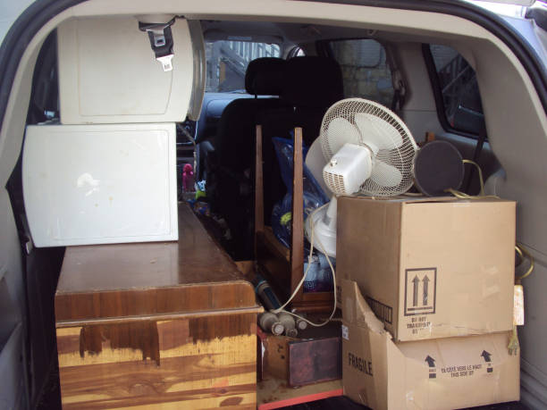 Best Yard Waste Removal  in Zeeland, MI
